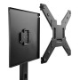 Ewent Suporte TV Grampo 37" - 55"