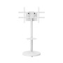 Ewent Suporte Móvel para TV  37" - 86" Branco