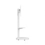 Ewent Suporte Móvel para TV  37" - 86" Branco