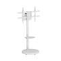 Ewent Suporte Móvel para TV  37" - 86" Branco