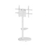 Ewent Suporte Móvel para TV  37" - 86" Branco
