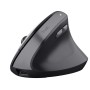Trust Rato Ergonómico Vertical TM-270  Wireless