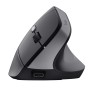 Trust Rato Ergonómico Vertical TM-270  Wireless