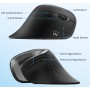 Rato Ewent Ergonómico Vertical Wireless