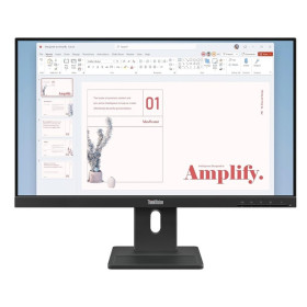 Lenovo 23.8"  ThinkVision E24-40