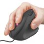 Trust Rato Ergonómico Vertical GXT 144 Rexx Ergo